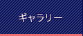 ギャラリー
