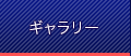 ギャラリー